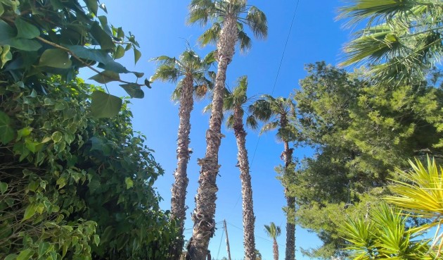 Brukt - Villa -
Torrevieja - La Siesta