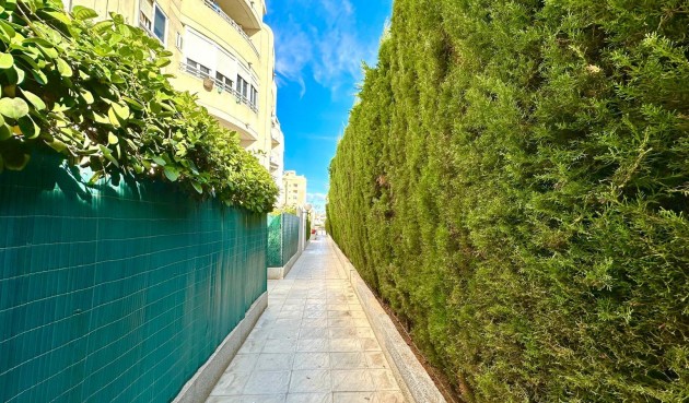 Brukt - Apartment -
Torrevieja - Playa del Cura