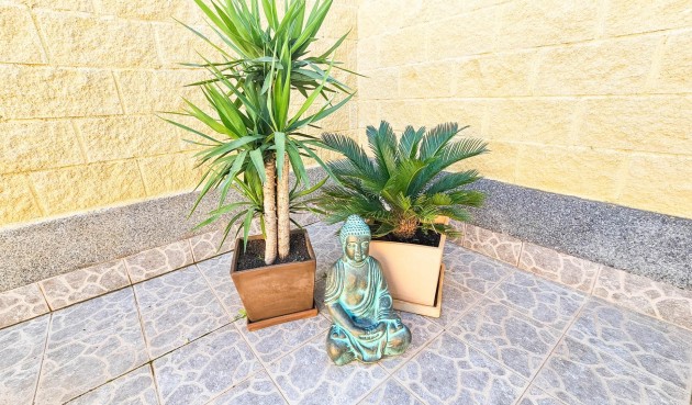 Brukt - Town House -
Torrevieja - El Limonar