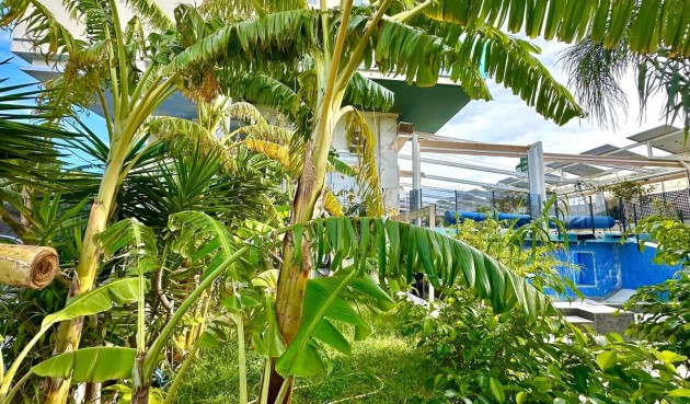 Reventa - Apartment -
Finestrat