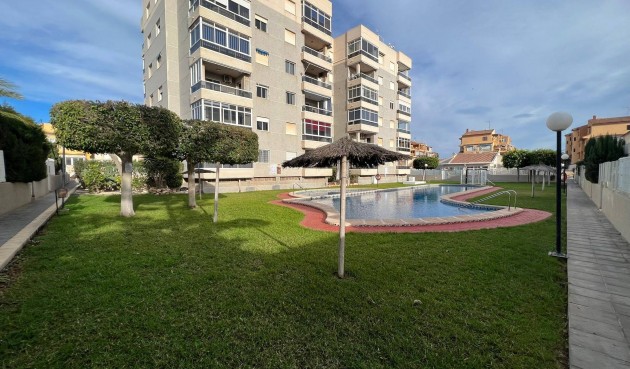 Brukt - Apartment -
Torrevieja - aguas nuevas