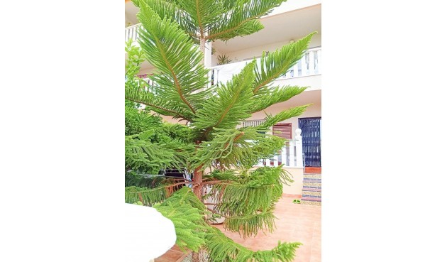 Resale - Bungalow -
Orihuela Costa - Lomas De Cabo Roig-los Dolses