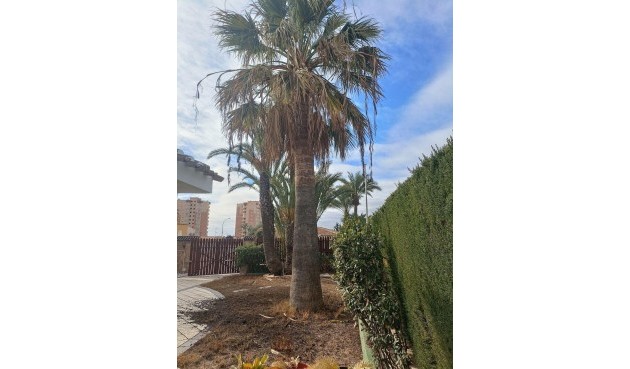 Brukt - Villa -
Orihuela Costa - Campoamor