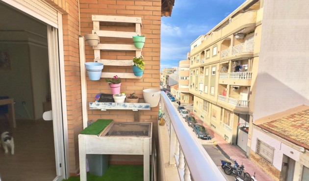 Reventa - Apartment -
Torrevieja