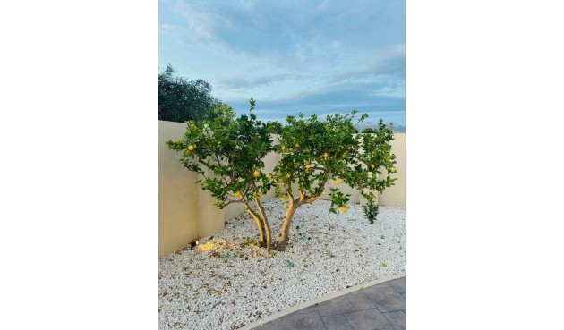 Brukt - Villa -
Alfas del Pí - Costa Blanca