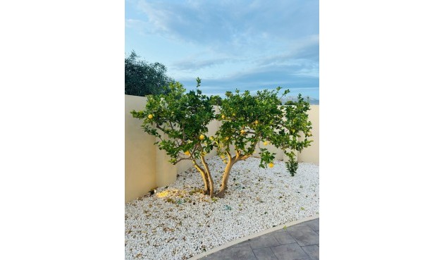 Brukt - Villa -
Alfas del Pí - Costa Blanca