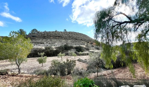 Återförsäljning - Villa -
Monóvar/Monóver - Inland