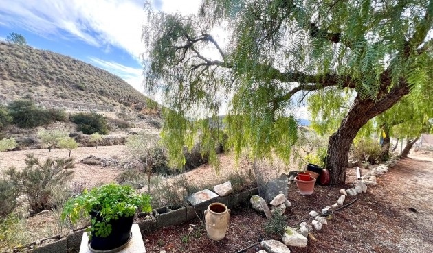 Återförsäljning - Villa -
Monóvar/Monóver - Inland