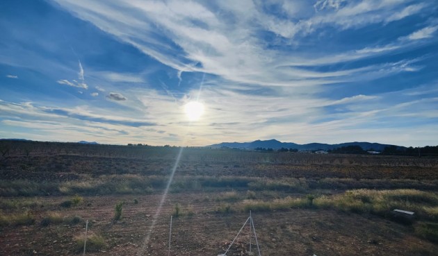 Återförsäljning - Villa -
Pinoso - Inland