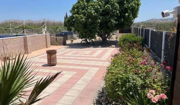 Reventa - Villa -
Villena - Inland