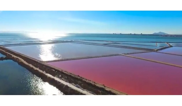 Återförsäljning - Villa -
Torre de la Horadada - Costa Blanca