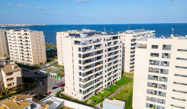 Återförsäljning - Apartment -
Torrevieja - Punta Prima