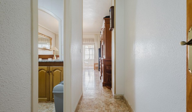Brukt - Apartment -
Torrevieja - Costa Blanca