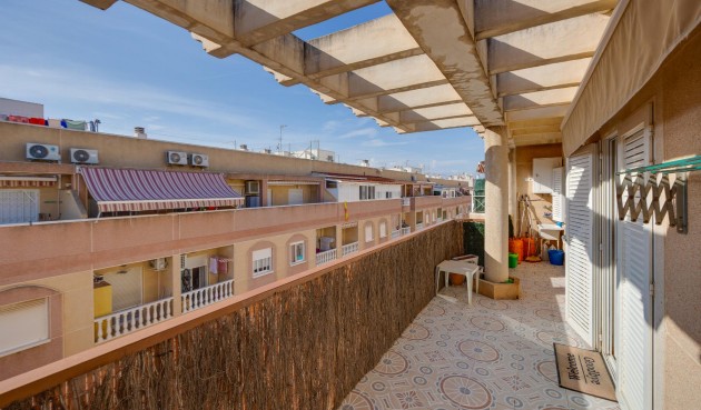 Återförsäljning - Apartment -
Torrevieja - Costa Blanca