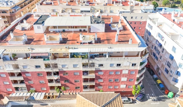Återförsäljning - Apartment -
Torrevieja - Costa Blanca