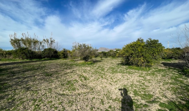 Återförsäljning - Villa -
Benejúzar - Inland