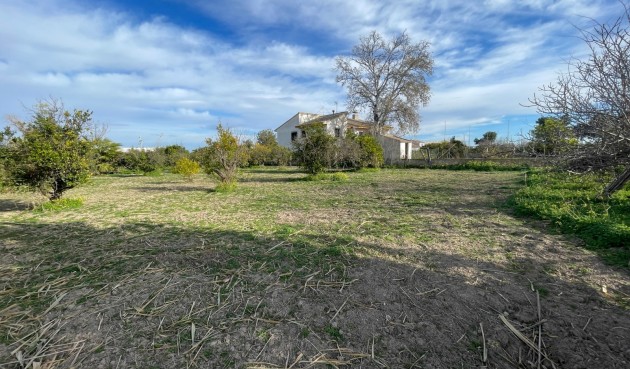 Återförsäljning - Villa -
Benejúzar - Inland