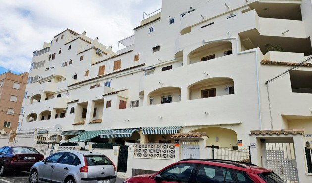 Brukt - Apartment -
Torrevieja - Nueva Torrevieja