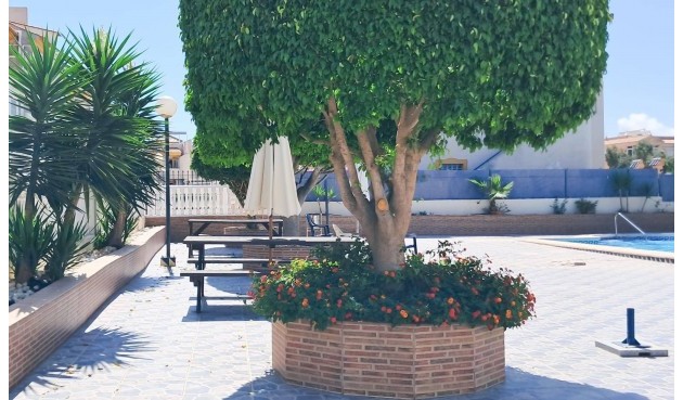 Brukt - Apartment -
Torrevieja - Parque Acuático - Sector 25