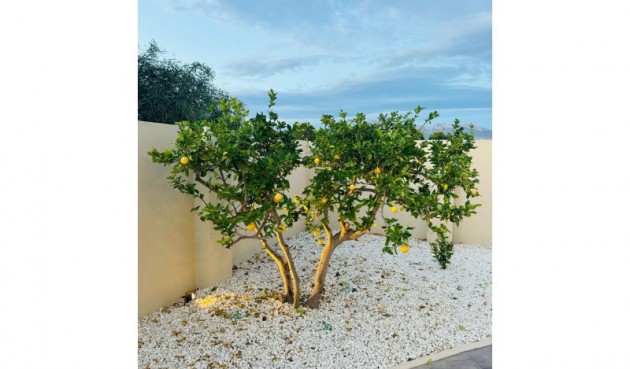 Reventa - Villa -
Alfas del Pí - Costa Blanca