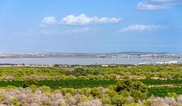 Återförsäljning - Villa -
Orihuela - Inland