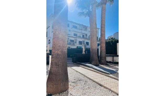 Reventa - Apartment -
Villamartin - Costa Blanca