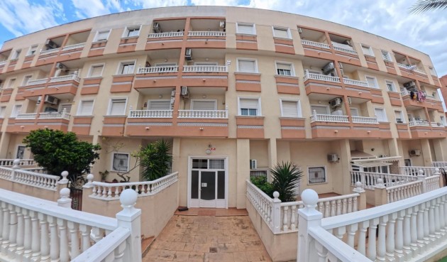 Brukt - Apartment -
Torrevieja - Centro