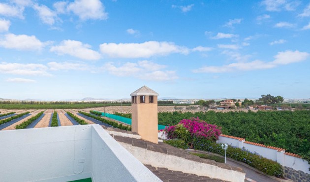 Reventa - Villa -
San Miguel de Salinas - Inland