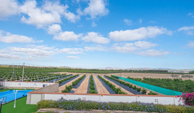 Reventa - Villa -
San Miguel de Salinas - Inland