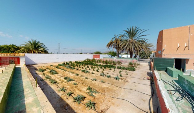 Reventa - Town House -
Albatera - Inland