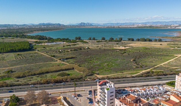 Återförsäljning - Apartment -
Torrevieja - Costa Blanca