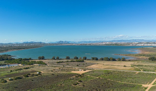 Återförsäljning - Apartment -
Torrevieja - Costa Blanca