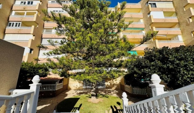 Resale - Penthouse -
La Mata - Costa Blanca