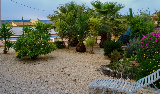 Återförsäljning - Villa -
Pliego - Inland