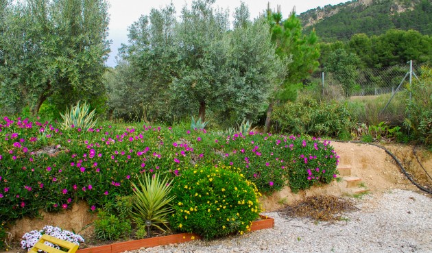 Återförsäljning - Villa -
Pliego - Inland