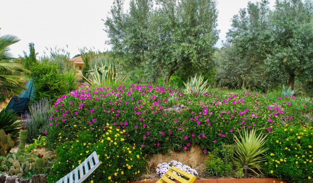 Återförsäljning - Villa -
Pliego - Inland