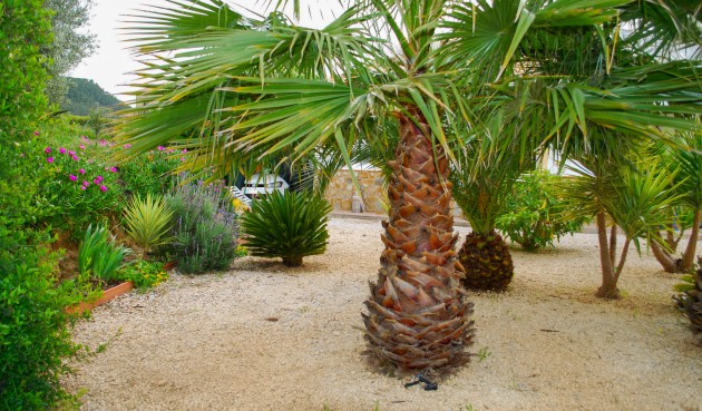 Återförsäljning - Villa -
Pliego - Inland