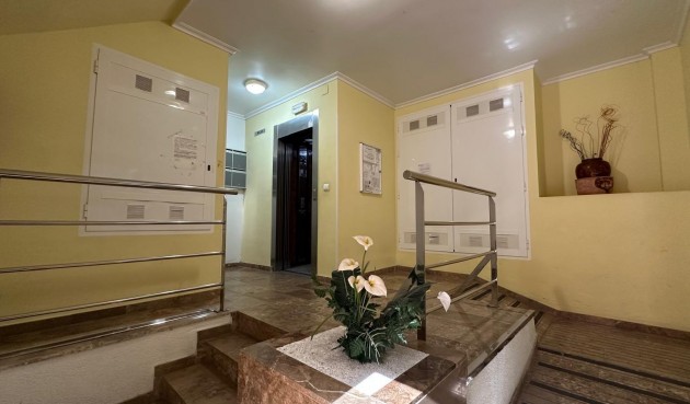 Återförsäljning - Apartment -
Torrevieja - Estacion De Autobuses