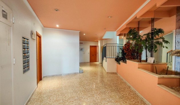 Återförsäljning - Apartment -
Torrevieja - Costa Blanca