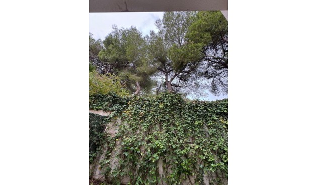 Brukt - Town House -
Torrevieja - Punta Prima