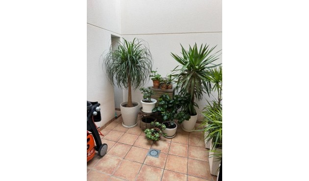 Brukt - Town House -
Torrevieja - Punta Prima