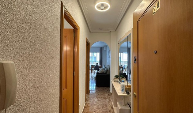 Brukt - Apartment -
Torrevieja - Estacion De Autobuses