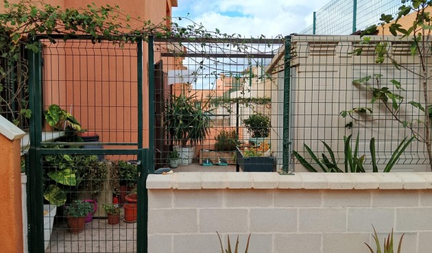 Brukt - Apartment -
Cartagena - Isla Plana