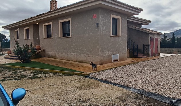 Brukt - Villa -
Yecla - Inland