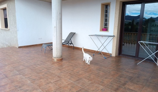 Brukt - Villa -
Yecla - Inland