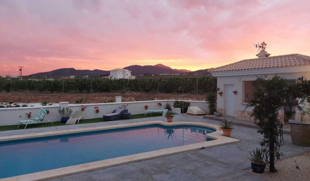 Resale - Villa -
Pinoso - Inland