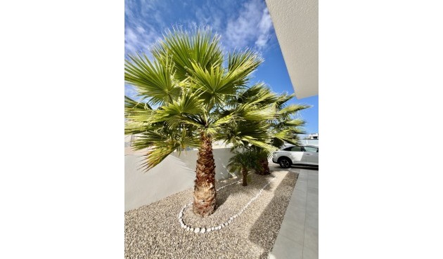 Brukt - Villa -
Benijofar - Costa Blanca