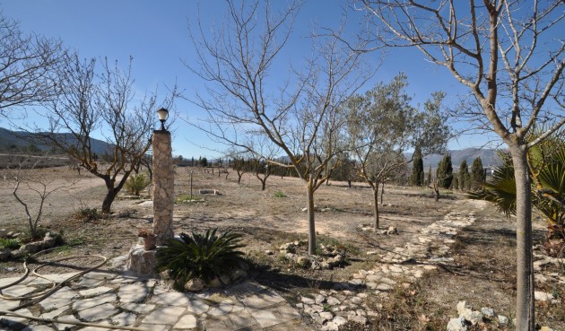 Brukt - Villa -
Salinas - Inland