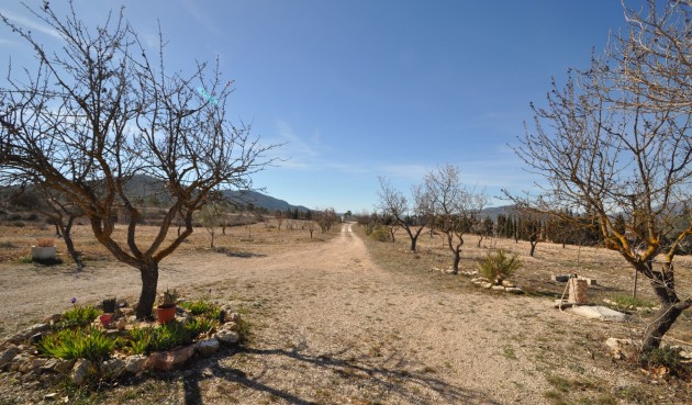 Brukt - Villa -
Salinas - Inland