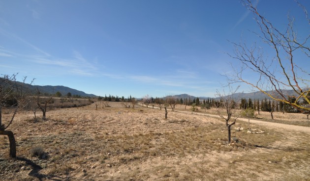 Brukt - Villa -
Salinas - Inland